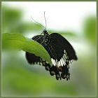 portret użytkownika Tanieczka