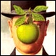 80x80_artistic0078_sXbWYvDoPjnRESWB8dj0A.jpg