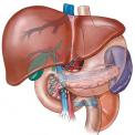 liver_disorders.jpg