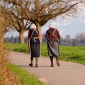 seniorruch.jpg